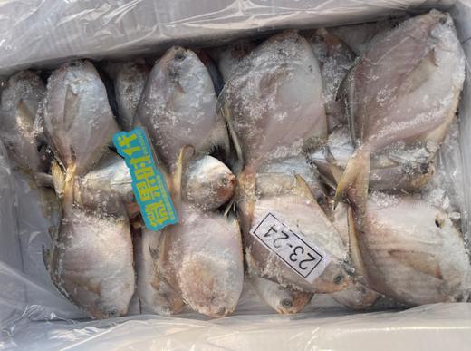 白鲳鱼一箱 商品图1