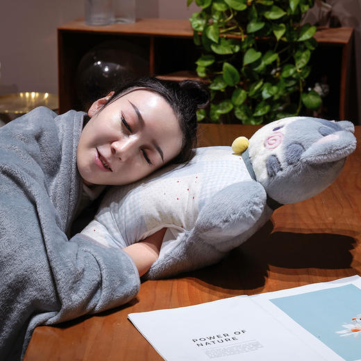 自然醒抱抱猫豆袋三用玩偶抱枕QYL 商品图12