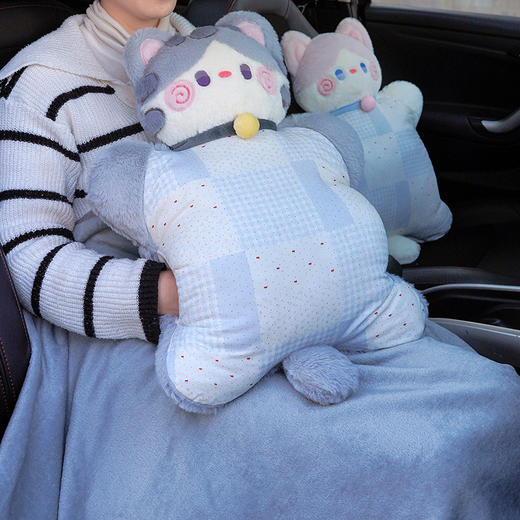 自然醒抱抱猫豆袋三用玩偶抱枕QYL 商品图10