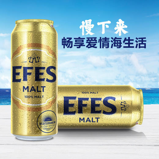【保质期至2026.3.14】土耳其原瓶进口艾菲纯麦啤酒 5.0%vol 500ml*24罐 商品图2