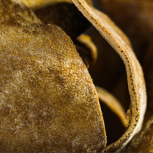 化州橘红【20年陈·上一品】甄选黄金胎果皮 咳嗽痰多 送礼办公室教师讲话多者宽中气顺 大师传承橘源堂橘红礼盒装 350g/罐 商品图3