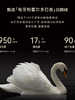 朗姿 【匈牙利鹅绒】短款白色羽绒服LCGD98OHC013 商品缩略图5