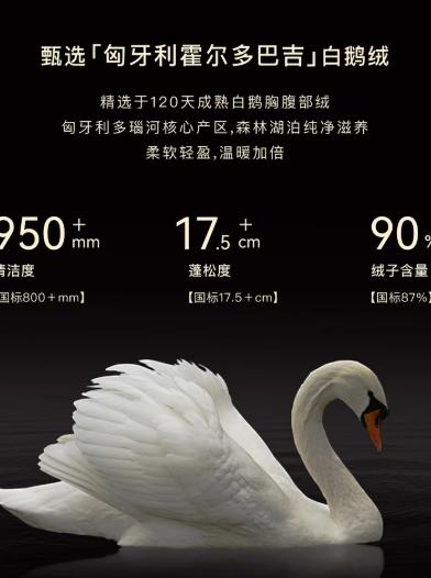 朗姿 【匈牙利鹅绒】短款白色羽绒服LCGD98OHC013 商品图5