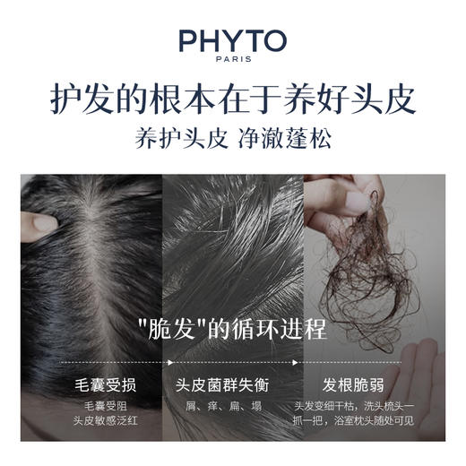 PHYTO 发朵 丝漾女士洗发水 250ml 商品图3