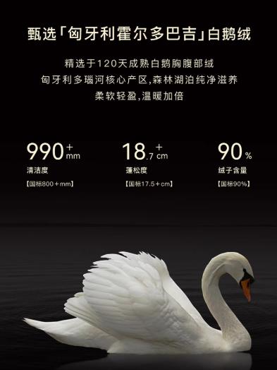 朗姿 【匈牙利鹅绒】立领轻薄连帽蓬松高端羽绒服LCGD98OHC022 商品图3