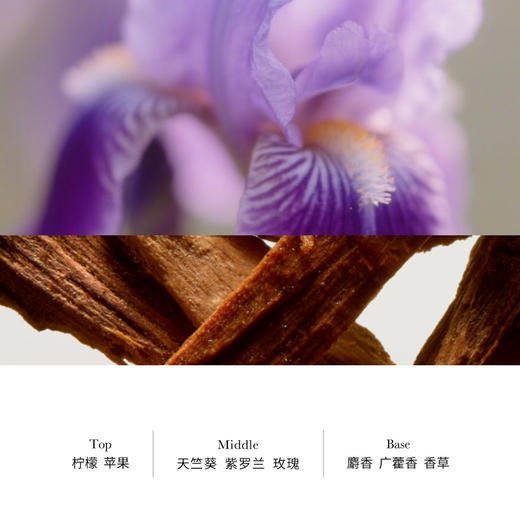 发玛21 晶莹美肌香氛沐浴露 450ml 商品图4