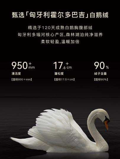 朗姿 【匈牙利白鹅绒】 连帽抽绳收腰中长羽绒服LCGD98OMC002 商品图4