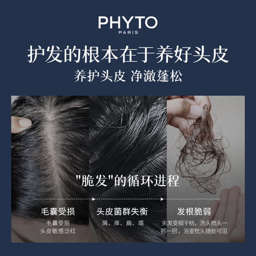 PHYTO 发朵 丝漾女士洗发水 250ml 商品图4