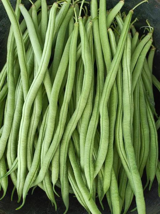 四季豆 400g （以当天实物为准） 商品图1
