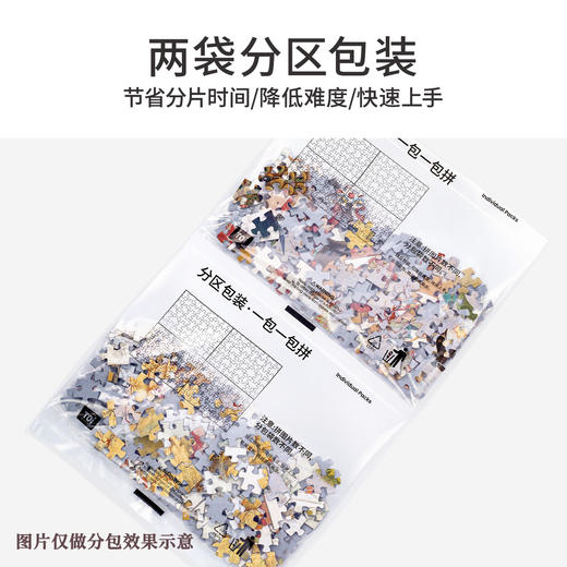 TOi图益-潮玩拼图系列-鸟的集会-500片-分包款 商品图4