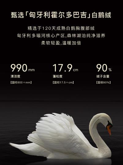 朗姿 【匈牙利白鹅绒】 亮面连帽收腰中长羽绒服LCGD98OYC007 商品图7