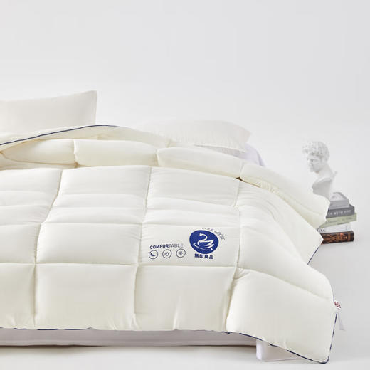 【分仓直发包邮】无印良品加州鹅丝被MJ-B2025-0176 商品图3