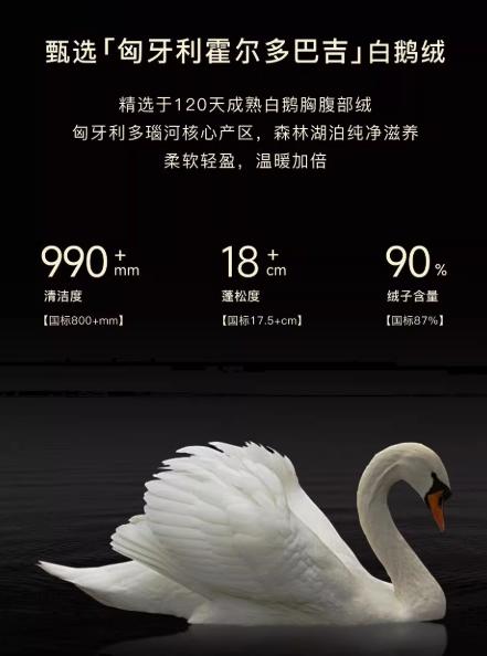 朗姿 【匈牙利白鹅绒】毛领百搭连帽长款羽绒服LCGD98OLC009 商品图7