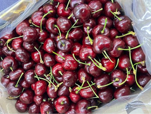 2JD智力黑车厘子一斤 商品图0