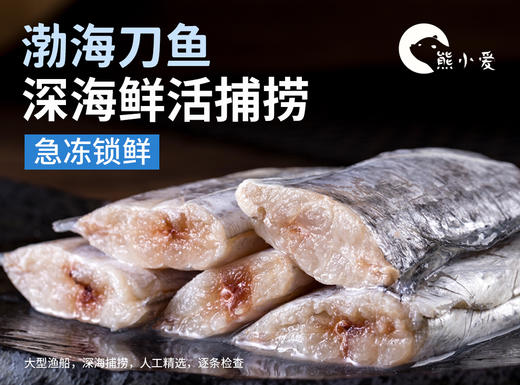 渤海刀鱼 商品图0