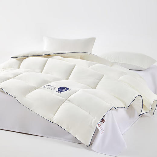 【分仓直发包邮】无印良品加州鹅丝被MJ-B2025-0176 商品图4