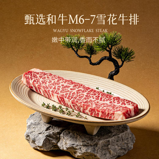 【茶牛M7和牛礼盒】澳洲安格斯牛种 真材实料 鲜嫩口感 商品图1