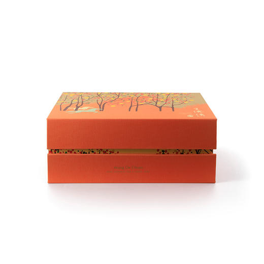 驰心二中（含罐含提袋））/（年份茶）四季安尚乌龙150g+冻顶乌龙150g 商品图8