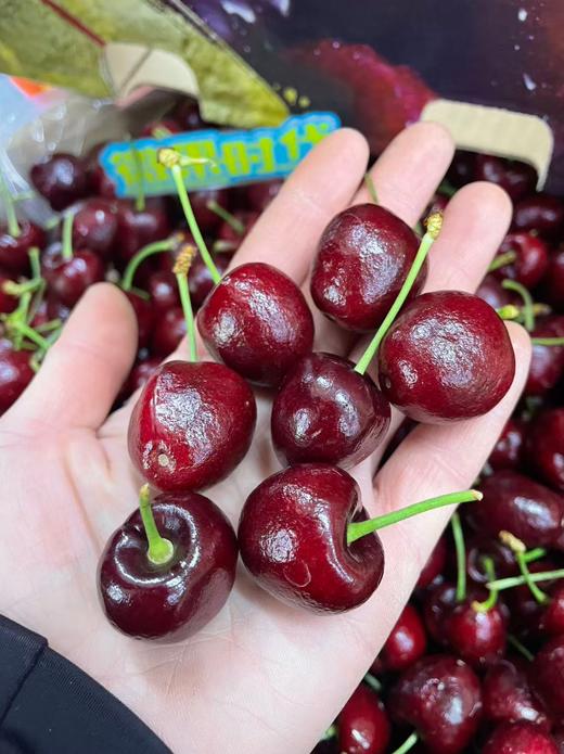 绿树XL车厘子一箱 商品图3
