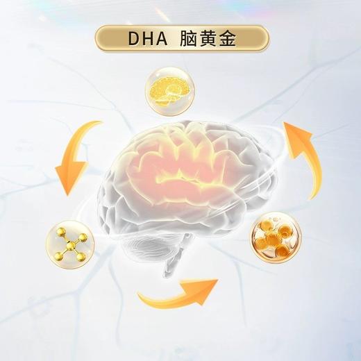 优普克牌鱼油软胶囊0.5g/粒,60粒/瓶 商品图3