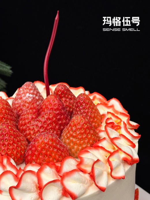 2025圣诞节-T款 商品图2