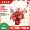 【年宵花礼盒】马上暴富（腊梅2+银柳4+随机卡片1） 顺丰包邮 商品缩略图0