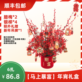 【年宵花礼盒】马上暴富（腊梅2+银柳4+随机卡片1） 顺丰包邮