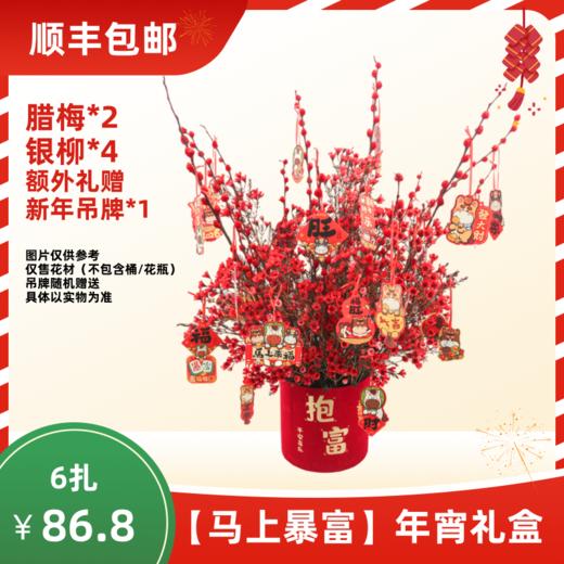 【年宵花礼盒】马上暴富（腊梅2+银柳4+随机卡片1） 顺丰包邮 商品图0
