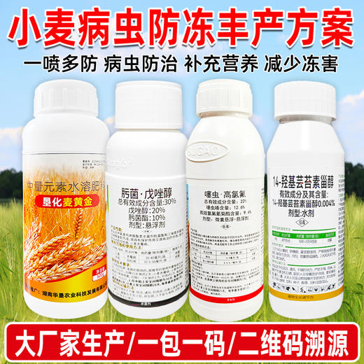 农药组合小麦病虫丰产方案噻虫高氯氟肟菌戊唑醇蚜虫复配杀虫剂 商品图4