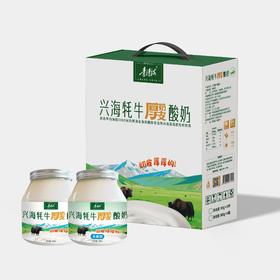 兴海牦牛酸奶（580g*4罐）