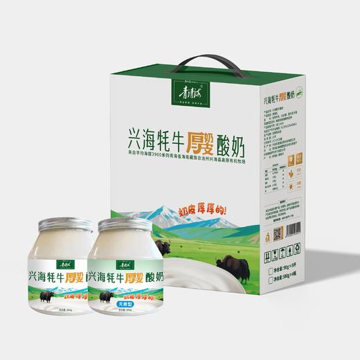 兴海牦牛酸奶（580g*4罐） 商品图0