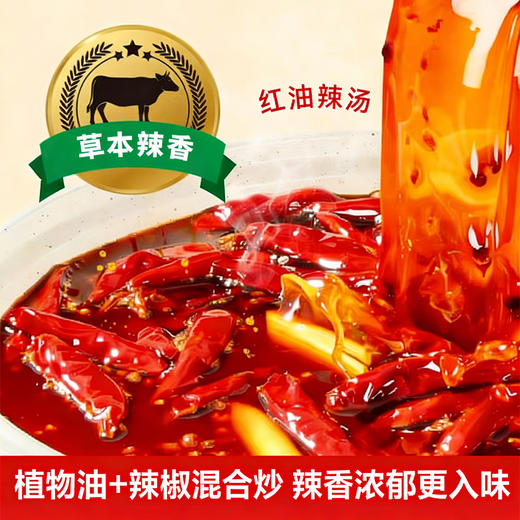 草原红太阳-美味清汤丨红油辣汤丨微辣香汤火锅汤料160g（新老包装随机发） 商品图4