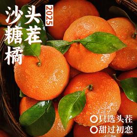 【强丽优选】广西新鲜沙糖橘 3斤