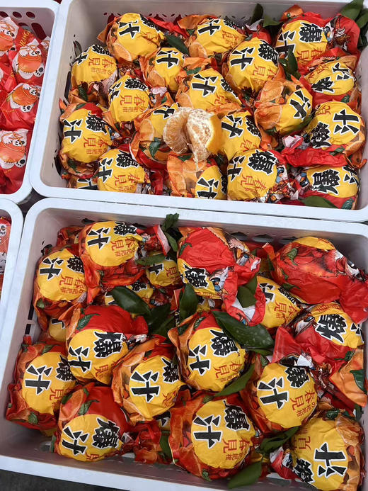 【产地直采】9.9/2斤  耙耙柑 商品图2