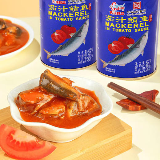 古龙-茄汁鱼罐头425g/罐【沙丁鱼丨鲭鱼】 商品图4