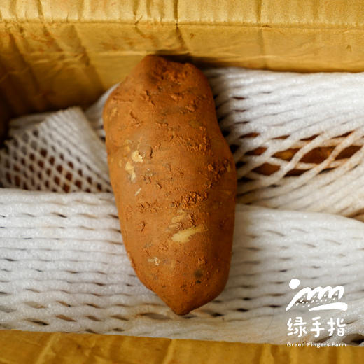 生态雪莲果（邮政空运） | 合作生产*  Ecological yacon | Partner Production 商品图3