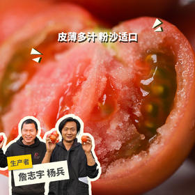 生态西红柿/番茄（沙瓤） | 绿家自产*Eco-tomato | In-House Production