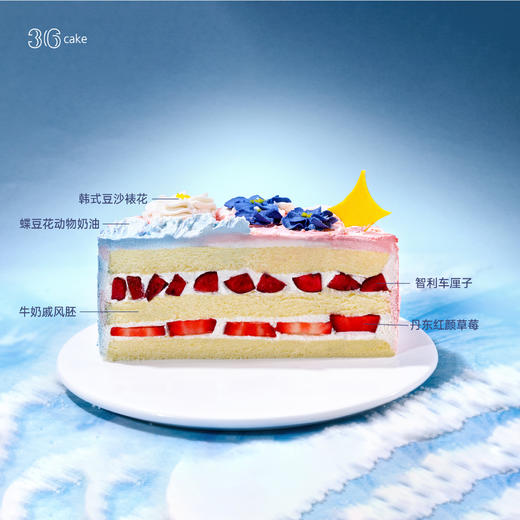 摩羯座 ∙ 海上生花 ∙ 草莓车厘子韩式裱花蛋糕-冰淇淋口味仅限深圳广州佛山可选 商品图4