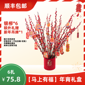 【年宵花礼盒】马上有福（银柳6+随机卡片1） 顺丰包邮