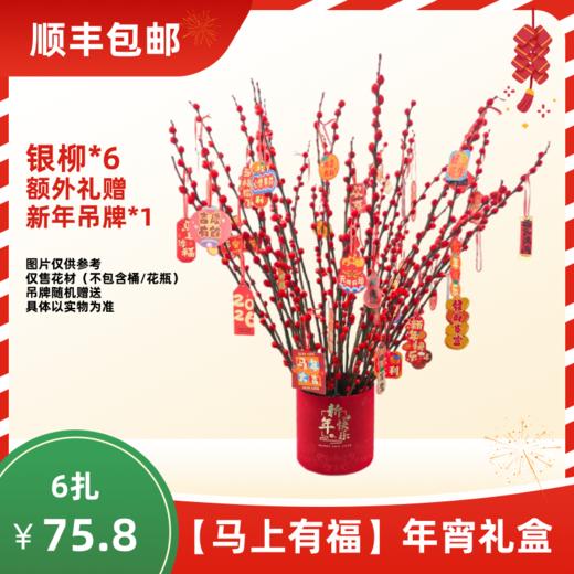 【年宵花礼盒】马上有福（银柳6+随机卡片1） 顺丰包邮 商品图0
