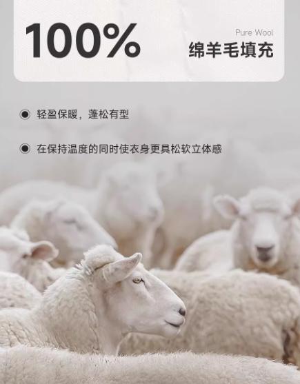 朗姿 【羊毛填充】轻薄款简约短款高端菱格棉服外套 LCFD98PJK942N4D 商品图5