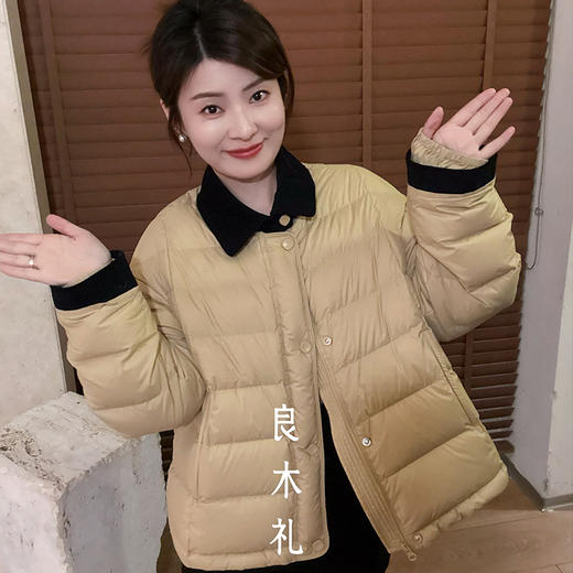 【预售7天】良木礼翻领羽绒服（2302） 商品图0