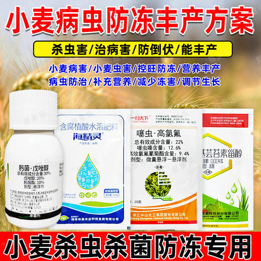 农药组合小麦病虫丰产方案噻虫高氯氟肟菌戊唑醇蚜虫复配杀虫剂 商品图3