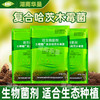 土老板哈茨木霉复合微生物菌剂根腐立枯灰霉死棵烂苗湖生根南华垦 商品缩略图3