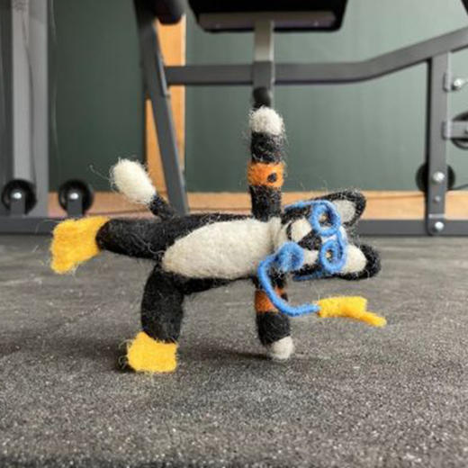 北京仓｜Felt So Good-Snorkelling Cat-浮潜猫咪 羊毛毡 挂件［英国设计师］ 商品图0