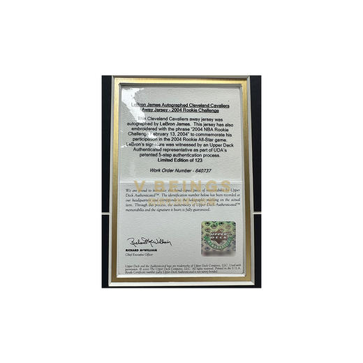 收藏系列 詹姆斯 骑士队23号红色限量版 亲笔签名球衣 商品图3