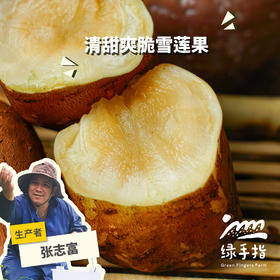 生态雪莲果（邮政空运） | 合作生产*  Ecological yacon | Partner Production