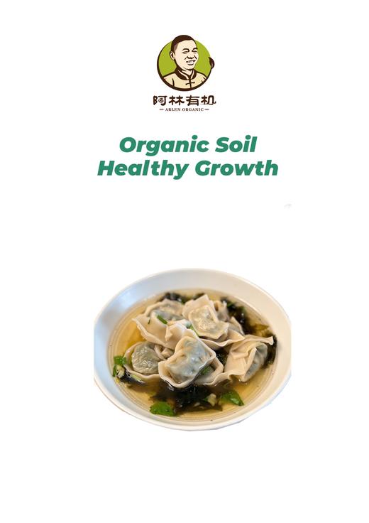 荠菜笋丁大馄饨 商品图0