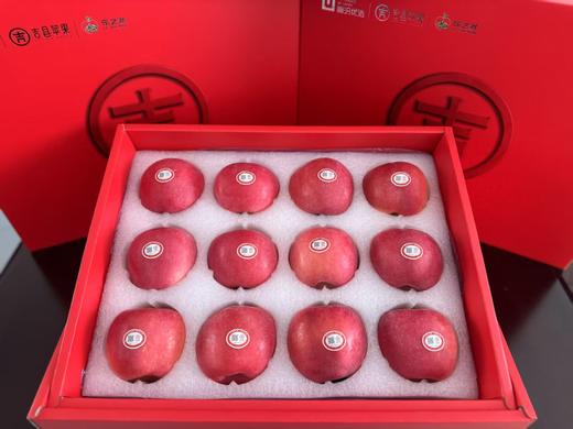 乐之然有机苹果礼盒12枚礼盒装 （单果果径85-90mm)（商） 商品图0