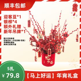 【年宵花礼盒】马上好运（迎客豆1+银柳4+卡片1） 顺丰包邮